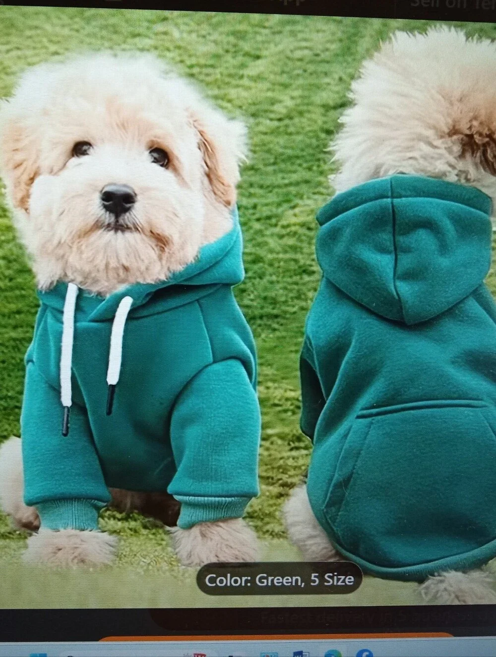 Cozy Dog Teal Green Hooded Pullover Sweatshirt